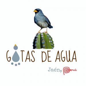 Gotas de Agua