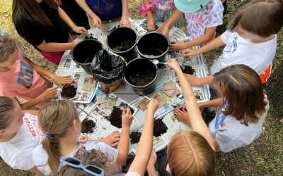 Climate workcamps in Poland