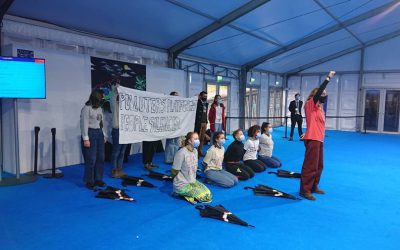 A global delegation at COP27 in Egypt