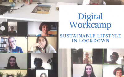 First SCI Online Workcamp