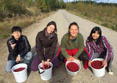 Volunteer Experience: Aki Takami, Keuruu Ecovillage