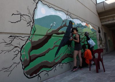 Paint the walls away in Mitrovica