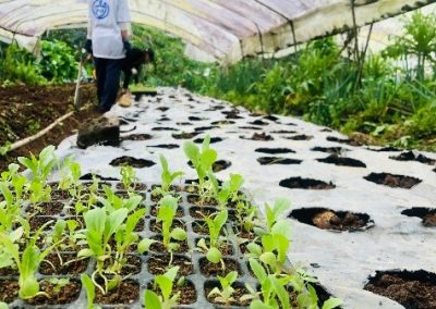 Wonderful days at farming workcamp in Malaysia